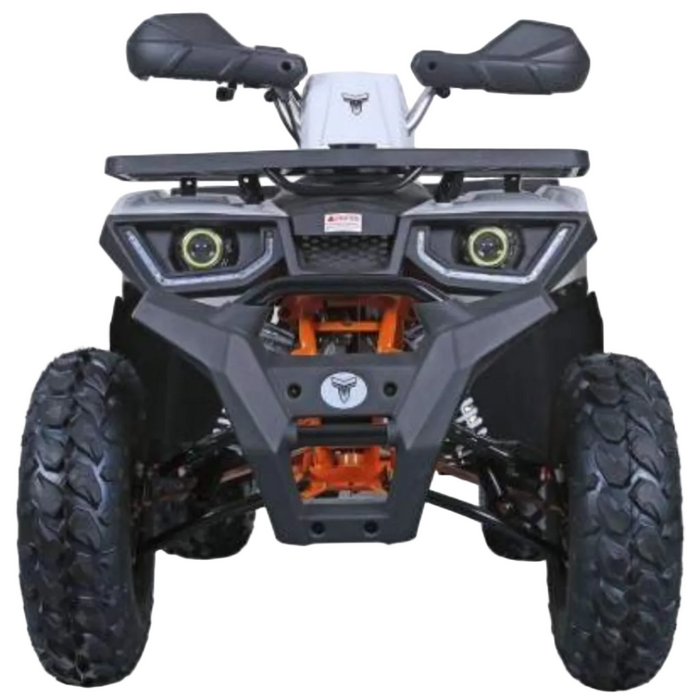 Tao Motors, Raptor 200 (2026), Quad à Essence (200cc)