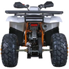 Tao Motors, Raptor 200 (2026), Quad à Essence (200cc)