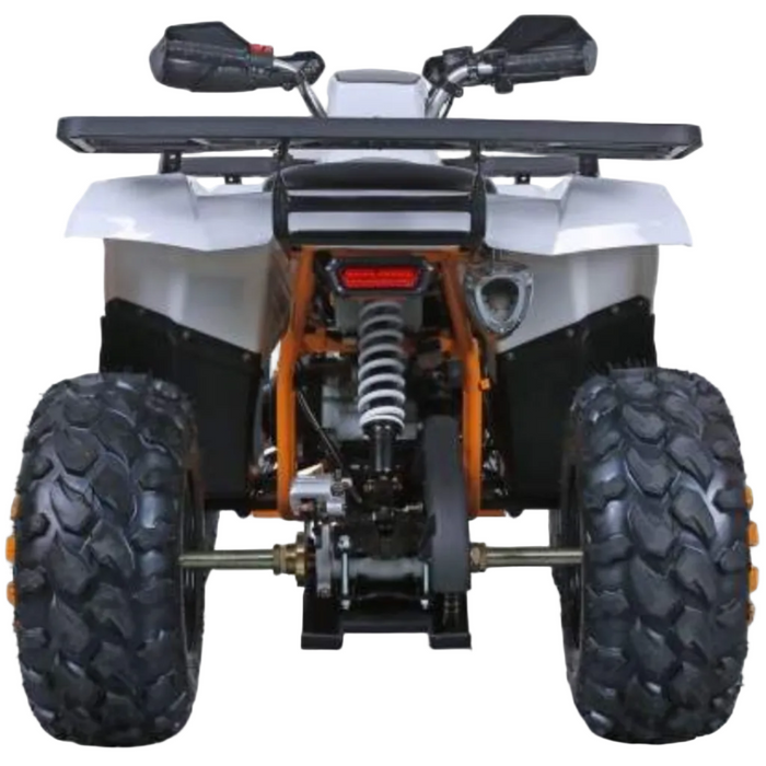Tao Motors, Raptor 200 (2026), Quad à Essence (200cc)