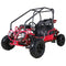 Tao Motors, GK110, Gas Kart (110cc) (4 Stroke) (8 Years+) 