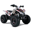 Tao Motors, Rex, Quad à Essence (4 Temps) (120cc)