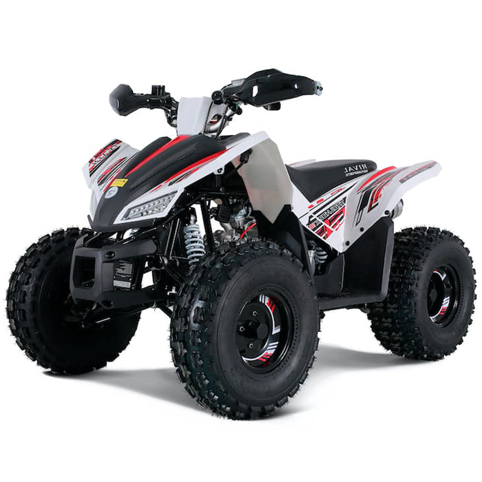 Tao Motors, Rex, Gasoline Quad (4 Stroke) (120cc) (10 Years+)