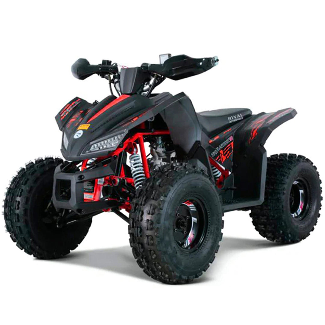 Tao Motors, Rex, Gasoline Quad (4 Stroke) (120cc) (10 Years+)