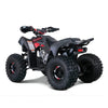Tao Motors, Rex, Quad à Essence (4 Temps) (120cc)