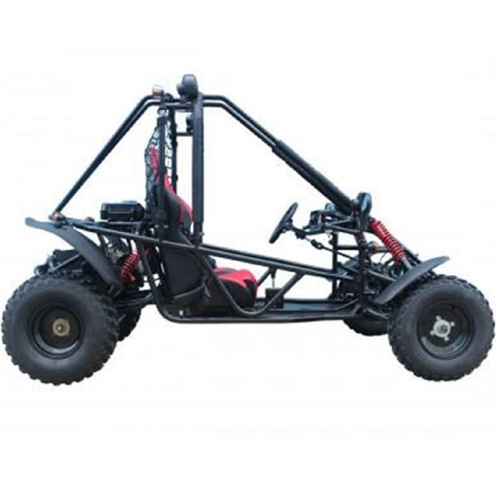 Tao Motors, Targa 200, Quad à Essence (4 Temps) (200cc)
