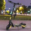 Teverun, Blade Mini Pro, Trottinette Électrique (48 Volts) (15,6Ah) (2x500 Watts) (1200 Watts/Peak) (2400 Watts/Peak Total)