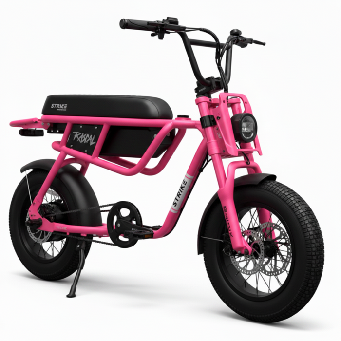 Throne, Rascal, Vélo Électrique (48 Volts) (13Ah) (500 Watts)