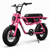 Throne, Rascal, Vélo Électrique (48 Volts) (13Ah) (500 Watts)
