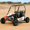 Tao Motors, Triton 125, Cart à Essence (125cc) (4 Temps) (2 Places)
