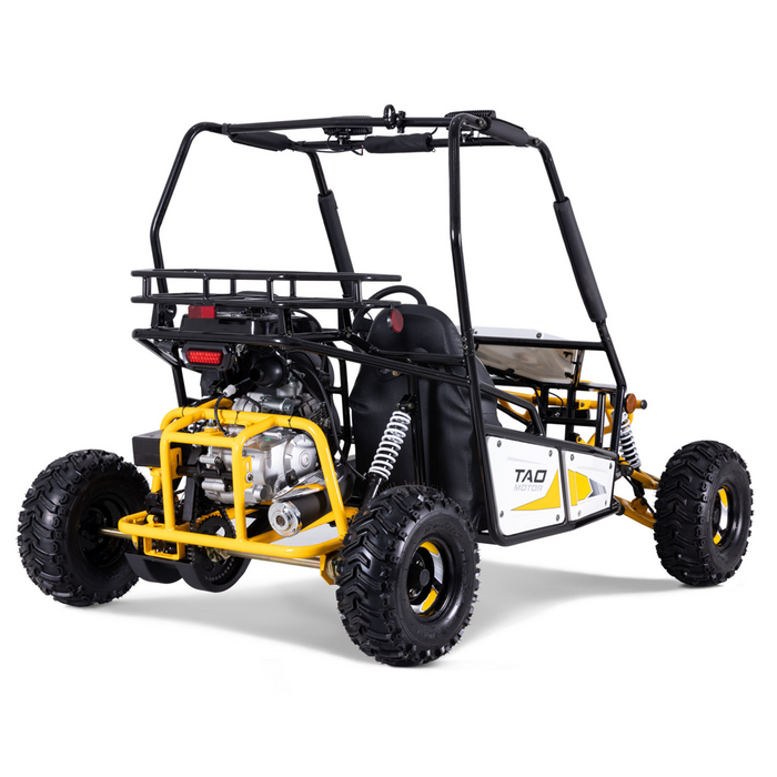 Tao Motors, Triton 125, Cart à Essence (125cc) (4 Temps) (2 Places)