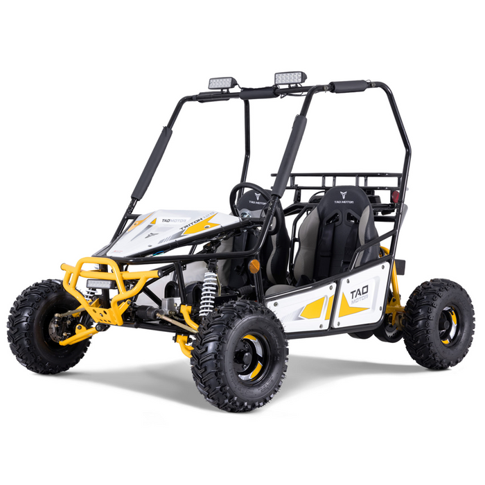 Tao Motors, Triton 125, Cart à Essence (125cc) (4 Temps) (2 Places)