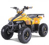 Tao Motors, Mudhawk 6, Quad à Essence (110cc) (4 Temps)