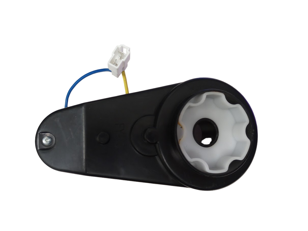 Moteur Gearbox (24 Volts) (10 000 tr/min)