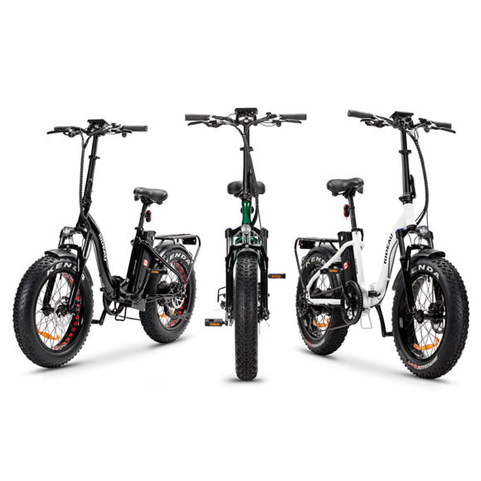 Slane, Rideau Fat Tire, Vélo Électrique Cadre Bas (48 Volts) (500 Watts)