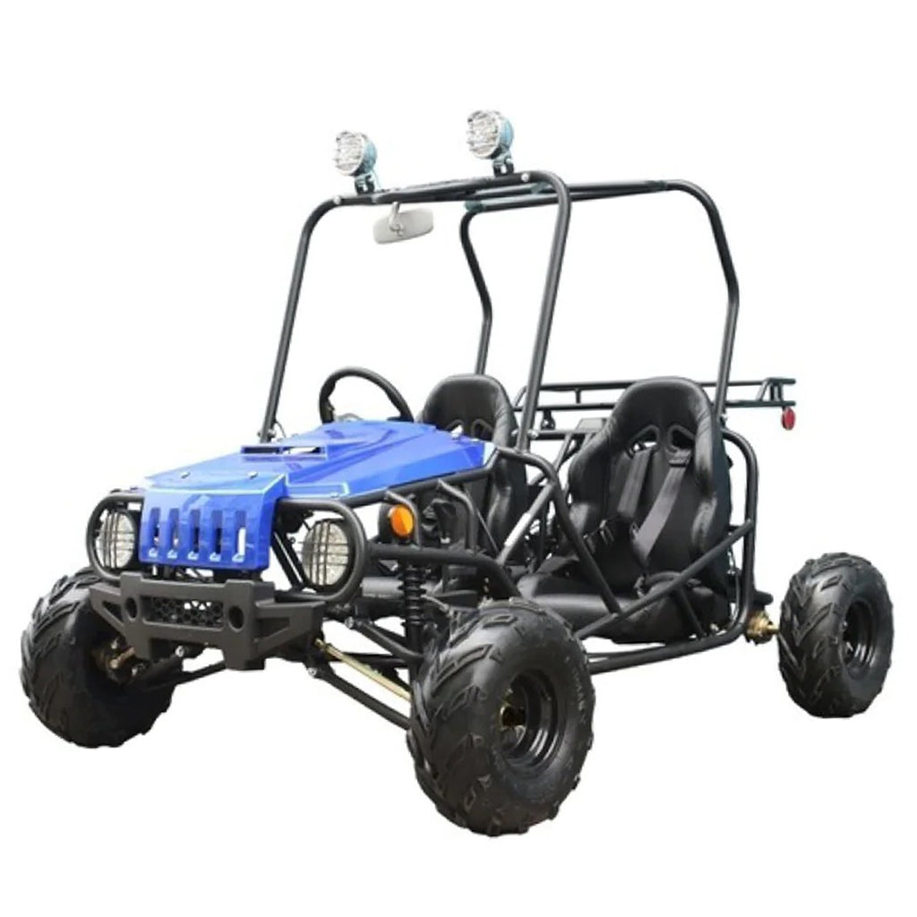 Gio, GT 125, Cart à Essence (125cc) (4 Temps) (2 Places)