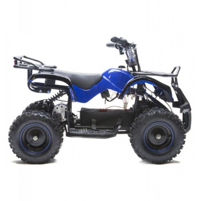 Torino Deluxe, Electric Quad (36 Volts) (800 Watts) (with Remote Control) (3 Years+)