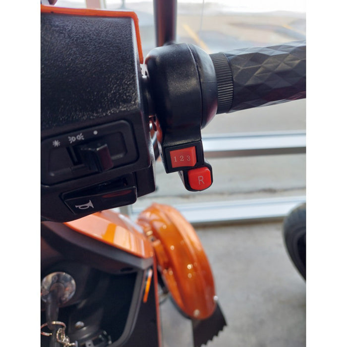 Rickshaw Deluxe, Quadriporteur avec Toit (60 Volts) (500 Watts)