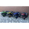 Renegade 1100, Quad Électrique (48 Volts) (12Ah) (1060 Watts)