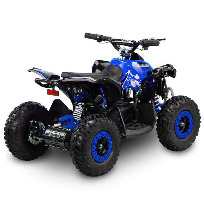 Renegade 1100, Quad Électrique (48 Volts) (12Ah) (1060 Watts)