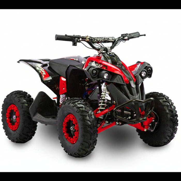 Renegade 1100, Quad Électrique (48 Volts) (12Ah) (1060 Watts)