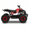 Renegade 1100, Quad Électrique (48 Volts) (12Ah) (1060 Watts)