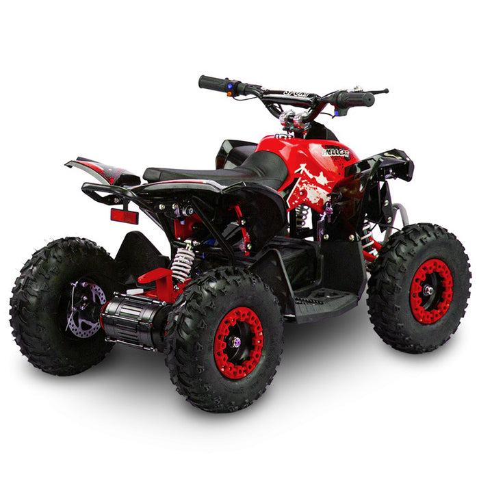 Renegade 1100, Quad Électrique (48 Volts) (12Ah) (1060 Watts)