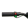 Renegade 1100, Quad Électrique (48 Volts) (12Ah) (1060 Watts)