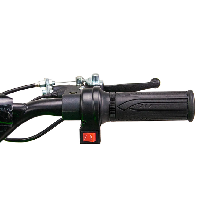 Renegade 1100, Quad Électrique (48 Volts) (12Ah) (1060 Watts)