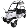 Roadie, Electric Golf Kart (60 Volts) (2500 Watts) (80Ah) 