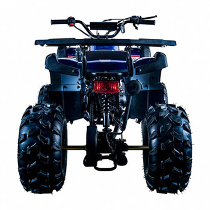 SMX Rider 125, Gasoline Quad (125cc) (4 Stroke) (10 Years+)