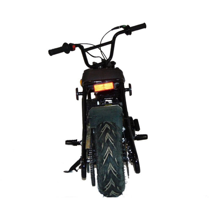 Tao Motors, Baja 100, Mini Off-Road Motorcycle (109cc) (4 Stroke)