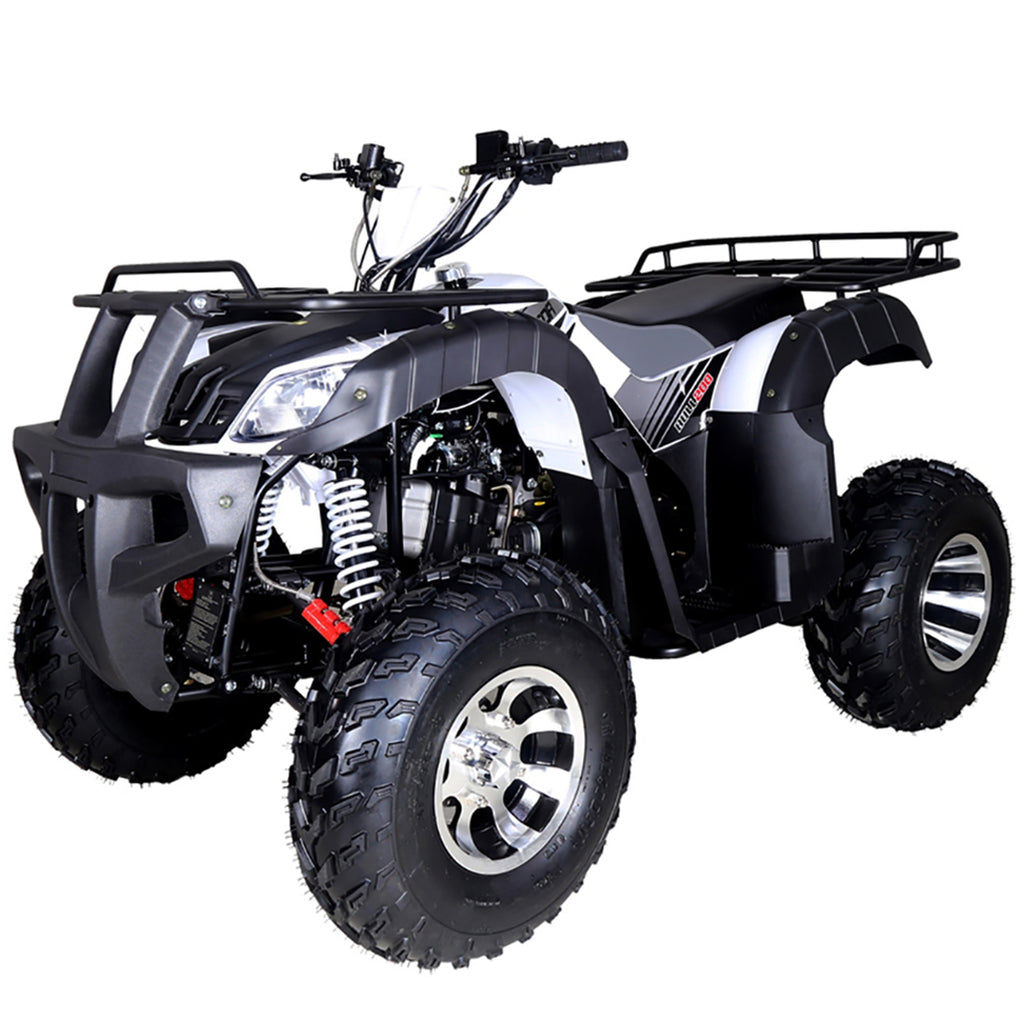 Tao Motors, Bull 200, Quad à Essence (4 Temps) (175cc) (13 Ans+)