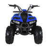 Tao Motors, Mudhawk 6, Quad à Essence (110cc) (4 Temps)