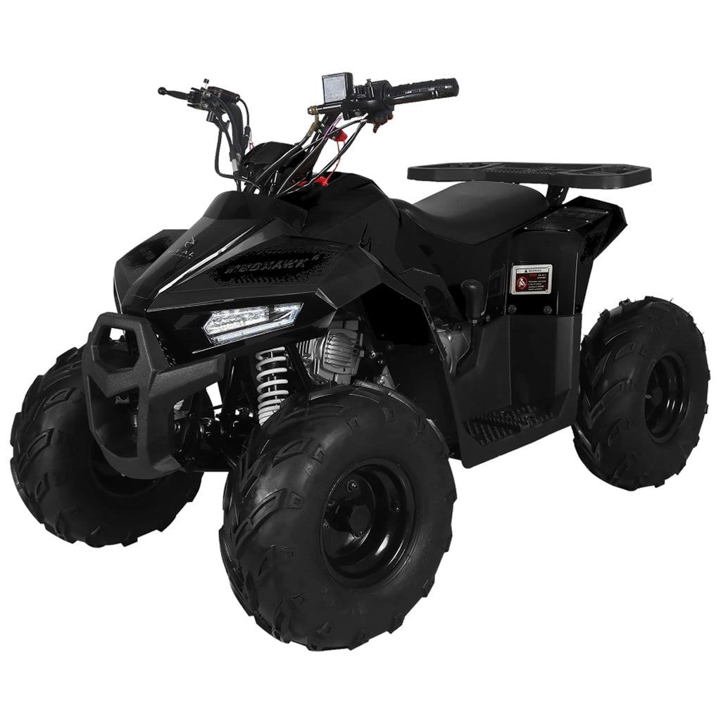 Tao Motors, Mudhawk 6, Quad à Essence (110cc) (4 Temps)