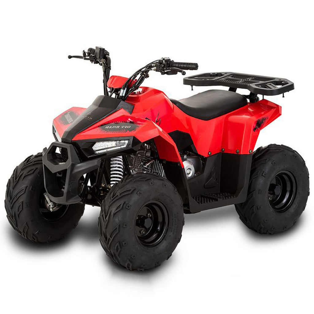 Tao Motors, Mudhawk 6, Quad à Essence (110cc) (4 Temps)