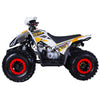 Tao Motors, Rex, Quad à Essence (4 Temps) (120cc)