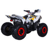 Tao Motors, Rex, Quad à Essence (4 Temps) (120cc)