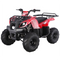 Gio, Blazer 125-D, Quad à Essence (4 Temps) (120cc)