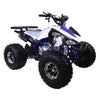Tao Cheetah Pro Quad À Essence (4 Temps) (120Cc) Vert Vtt