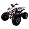 Tao Cheetah Pro Quad À Essence (4 Temps) (120Cc) Vert Orange Vtt