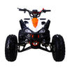Tao Cheetah Pro Quad À Essence (4 Temps) (120Cc) Vert Vtt