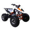 Tao Cheetah Pro Quad À Essence (4 Temps) (120Cc) Vert Vtt