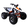 Tao Cheetah Pro Quad À Essence (4 Temps) (120Cc) Vert Vtt