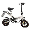 Go Trax Y1D, Electric Bike (36 Volts) (250 Watts) 