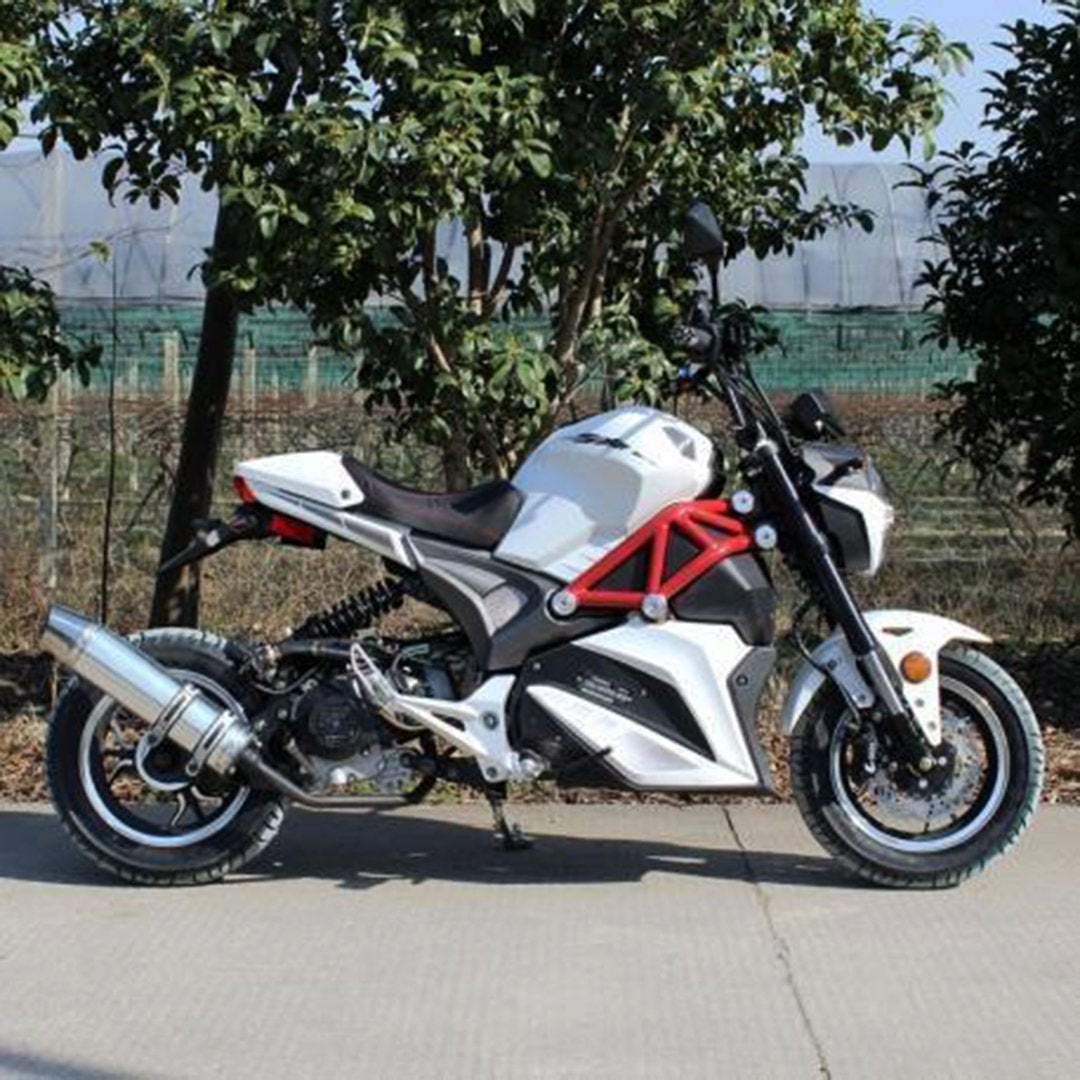 Venom X21, Petrol Motorcycle/Scooter (4 Stroke) (49cc) (1 Seat