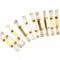 Carrera Digital 124/132 /Evolution, Carrera Brosses de contact double (10)
