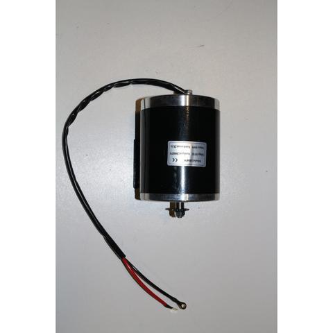 Torino - Moteur 36 Volts 800 Watt Pièces